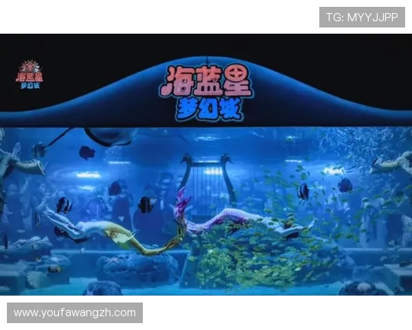 梦幻城娱乐：探索最精彩的主题娱乐体验让你流连忘返